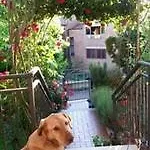 L'incanto Bed and breakfast