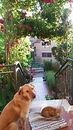 L'incanto Bed and Breakfast