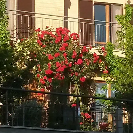 L'incanto *