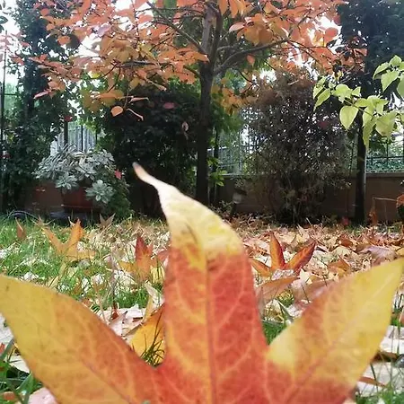 L'incanto Montalcino