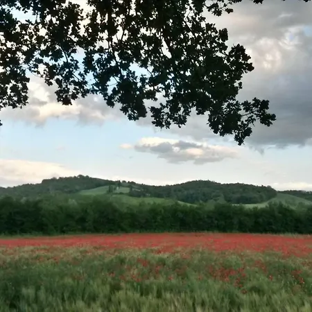 L'incanto Μονταλτσίνο