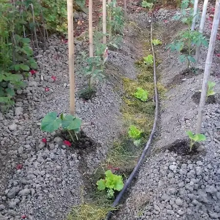 Bed & Breakfast L'incanto Montalcino